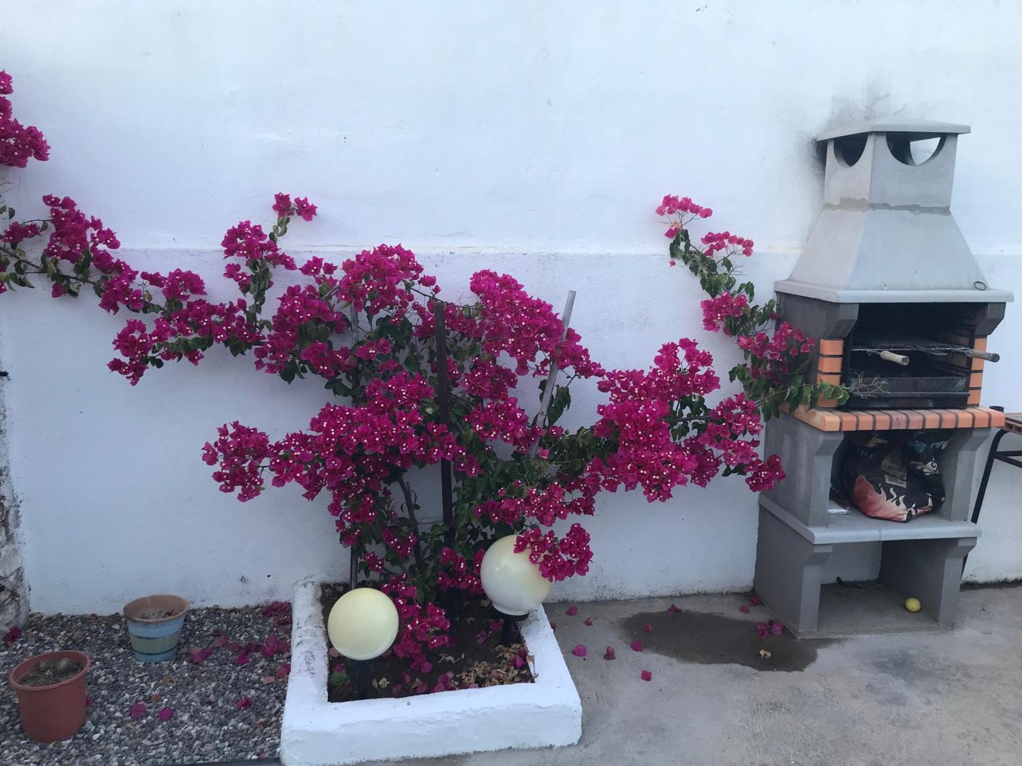 Casa Santo Antonio Apartment Pias  Екстериор снимка